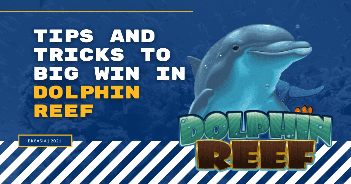 Tips And Tricks To Big Win In Dolphin Reef Slot