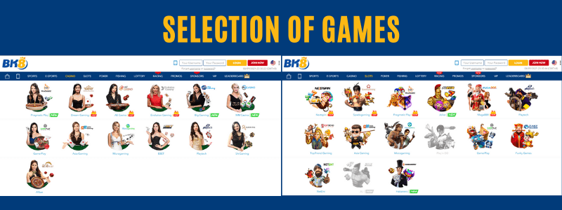 Selection of Games